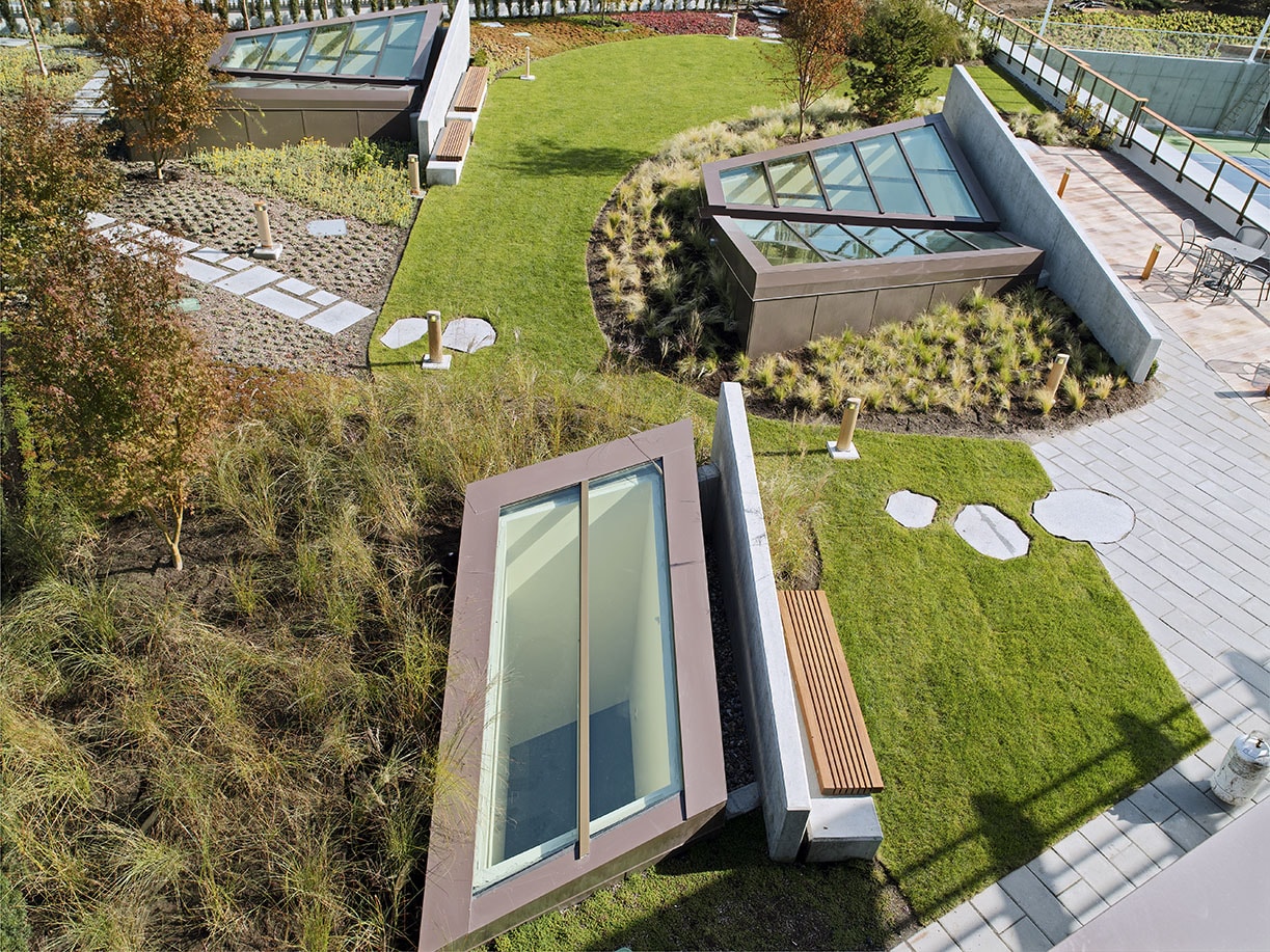 The Arbutus Club Enhancements - Green Roof
