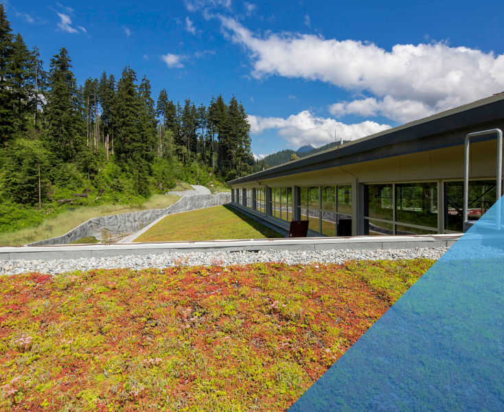 building with grass rooftop