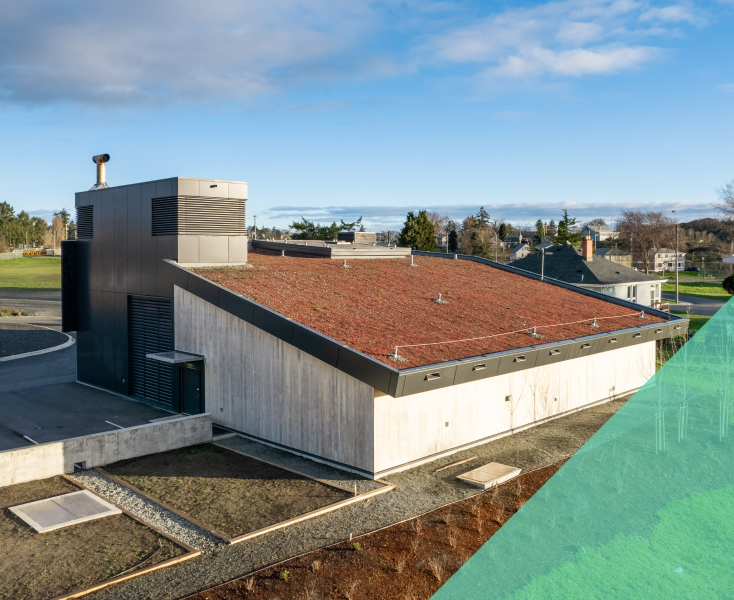 building with a grass rooftop